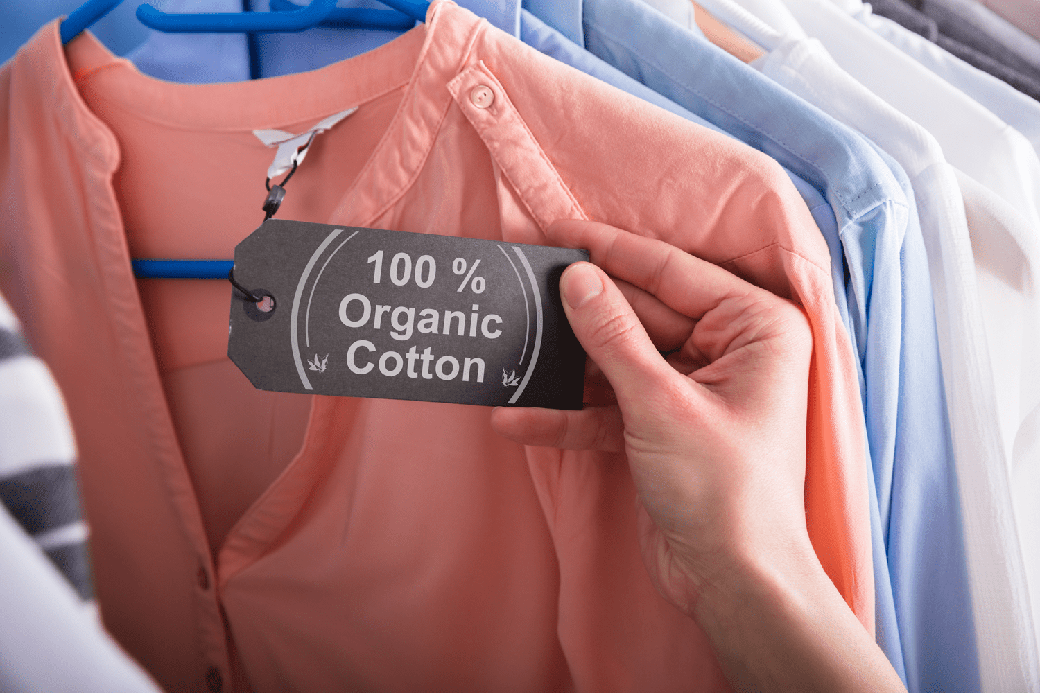 organic cotton, sustainable capsule wardrobe