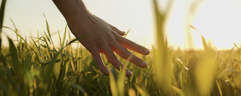 Finding the Wisdom Within: My Journey to Somatic Coaching